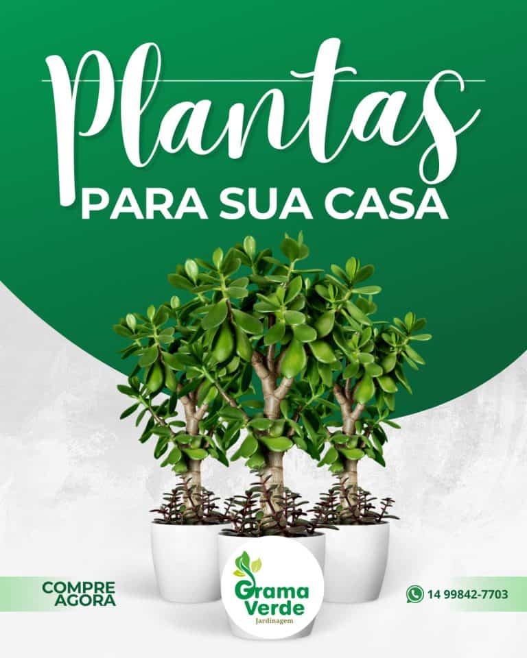 "Imagem criada com o pacote Adobe, utilizando Photoshop e Illustrator, para divulgar serviços de jardinagem em redes sociais. O design profissional e atrativo destaca a importância da manutenção de áreas verdes, paisagismo e cuidados com jardins residenciais e comerciais.